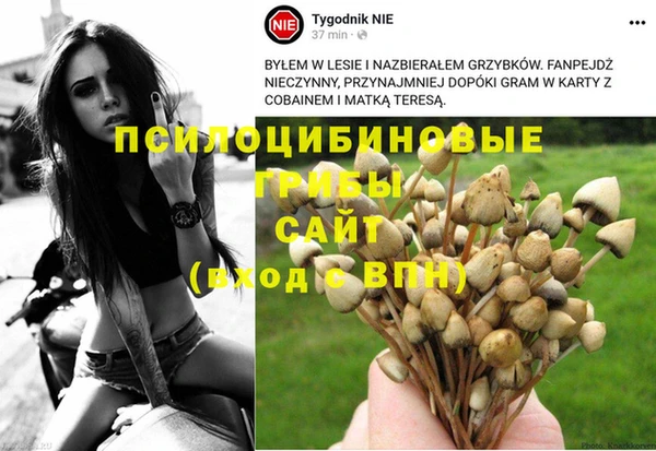 мяу мяу кристалл Арсеньев